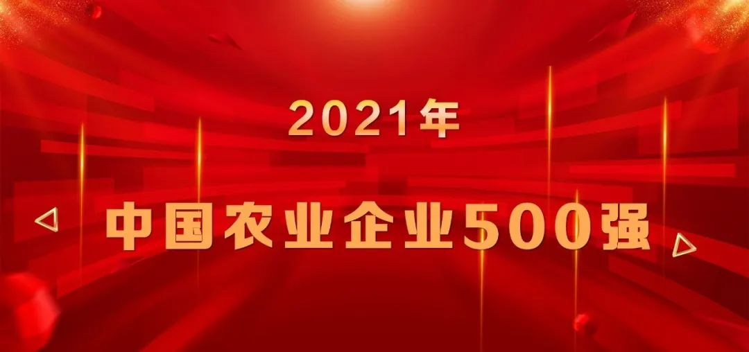 上榜|山东三星团体再登中国农业企业500强榜单