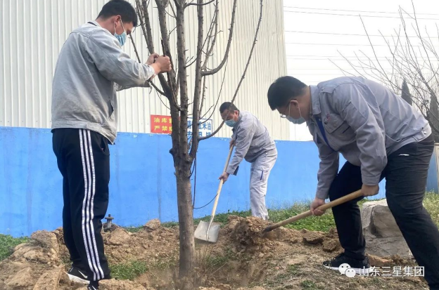 【植树节】山东三星团体：万物萌生季 春来植绿时