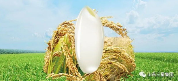 长命花食粮产物：泉源保障 稻道新颖 “好米”只为好生活
