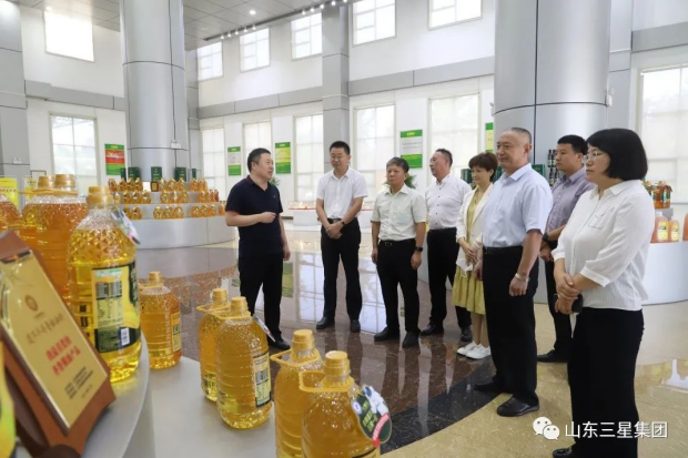 山东省商务厅电子商务到处长朱希昕一行来山东三星团体观赏调研