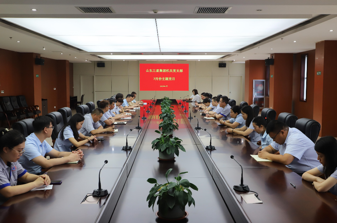 山东三星团体各党支部召开7月份主题党日勾当暨豫备党员转正大会