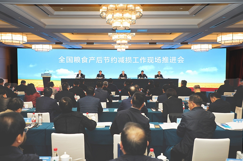 长命花携特点产物表态天下食粮产后节俭减损使命现场鞭策会