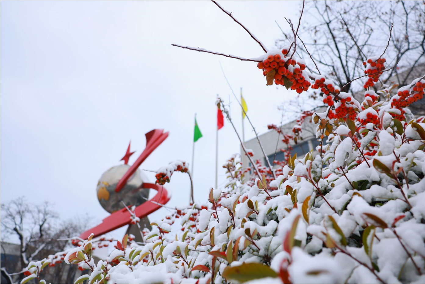 组图｜瑞雪康年 雪遇三星
