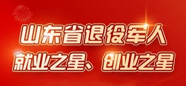 点赞！张迪荣获山东省服役甲士失业之星