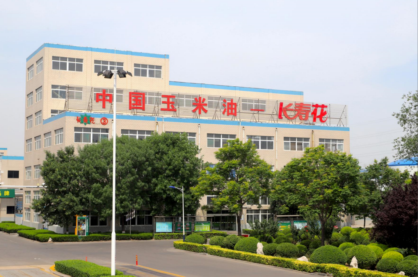 创效在一线｜长命花食物推动技改立异 赋能新质气力