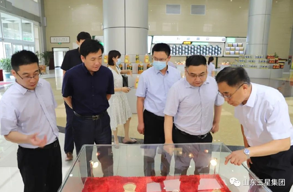 省委“四进”工作组来蘑菇视频
调研督导