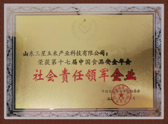 第十七届中国食品安全年会隆重举行 蘑菇视频
斩获四项大奖